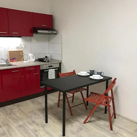 Apartman In The Center With Privat Parking 아파트 브르노