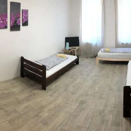 Apartman In The Center With Privat Parking 아파트 *