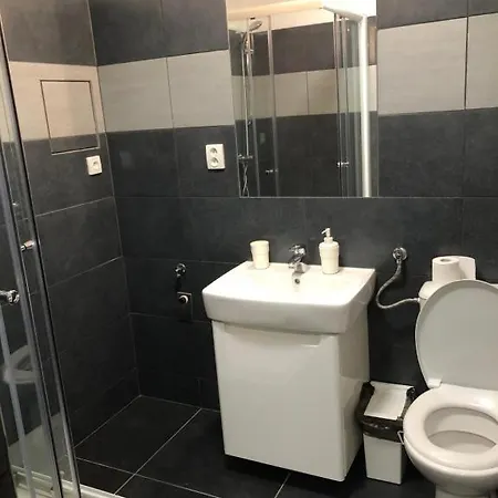 아파트 Apartman In The Center With Privat Parking 브르노