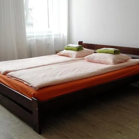 Apartman In The Center With Privat Parking *