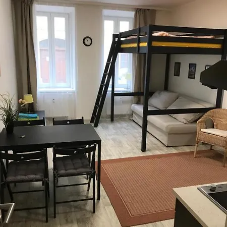 Apartman In The Center With Privat Parking *