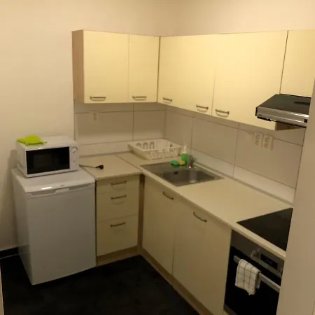 아파트 Apartman In The Center With Privat Parking 브르노