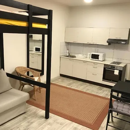 Apartman In The Center With Privat Parking * 브르노